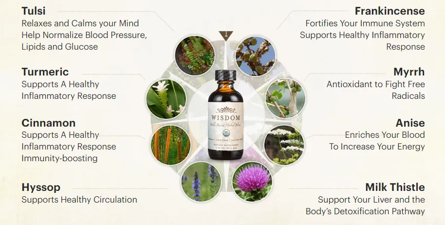 Nutrition Decoded: Unveiling the Secrets to Vibrant Health