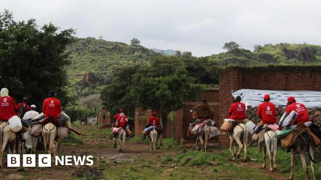 Aid workers use donkeys to reach Sudan landslide site