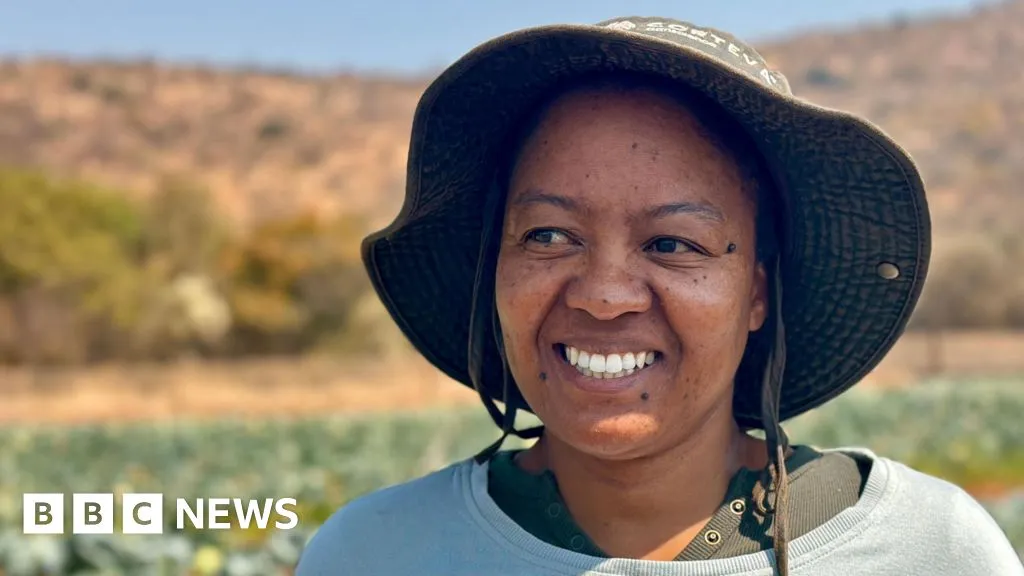 Lost in translation - How Africa is trying to close the AI language gap