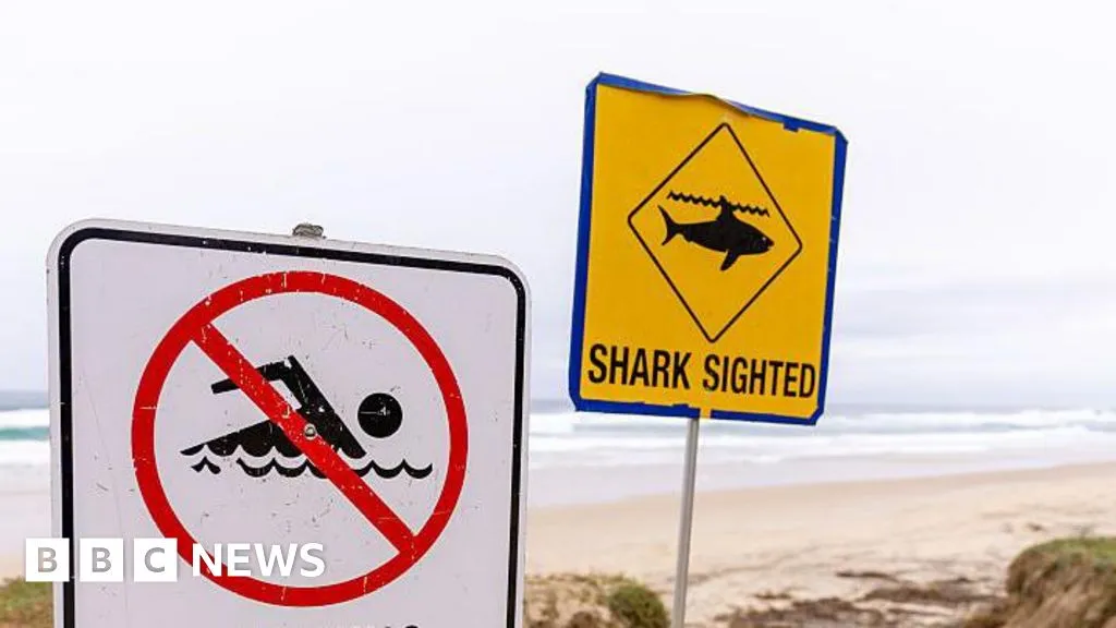 Man dies after suspected shark attack in Sydney