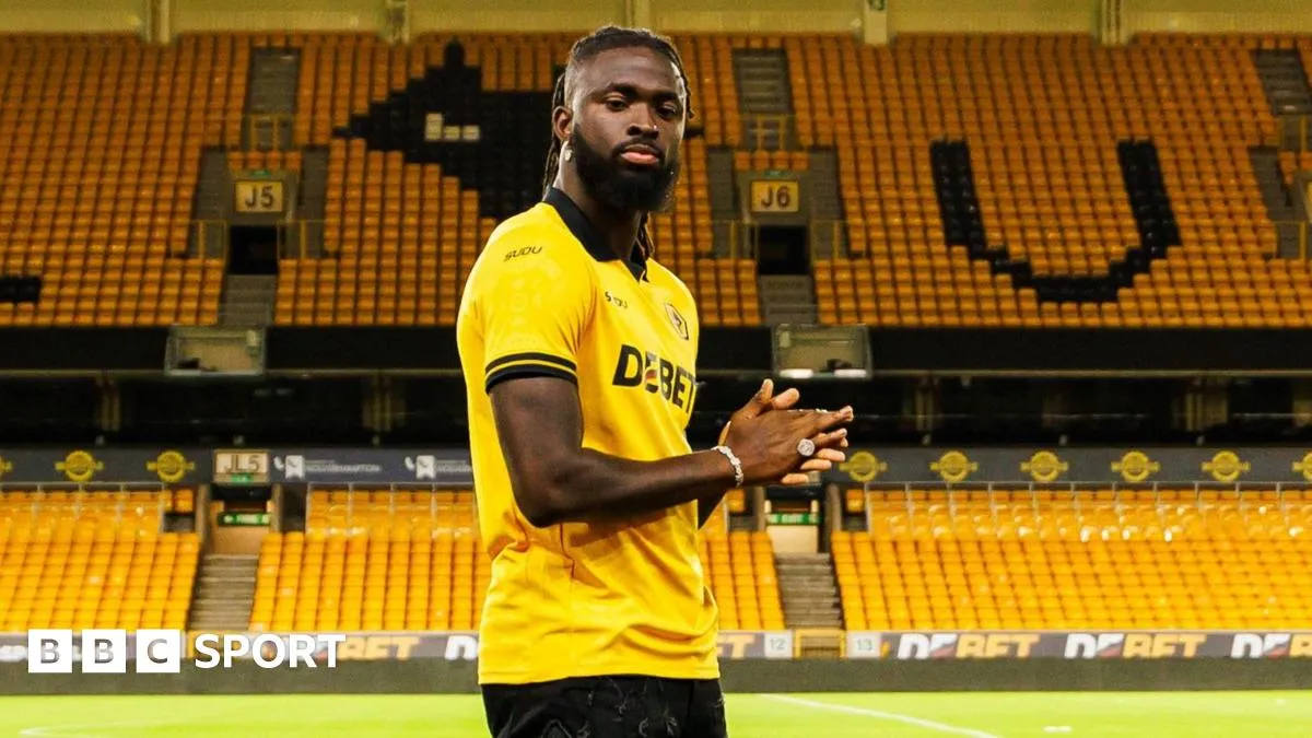 Wolves complete £24m deal for striker Arokodare