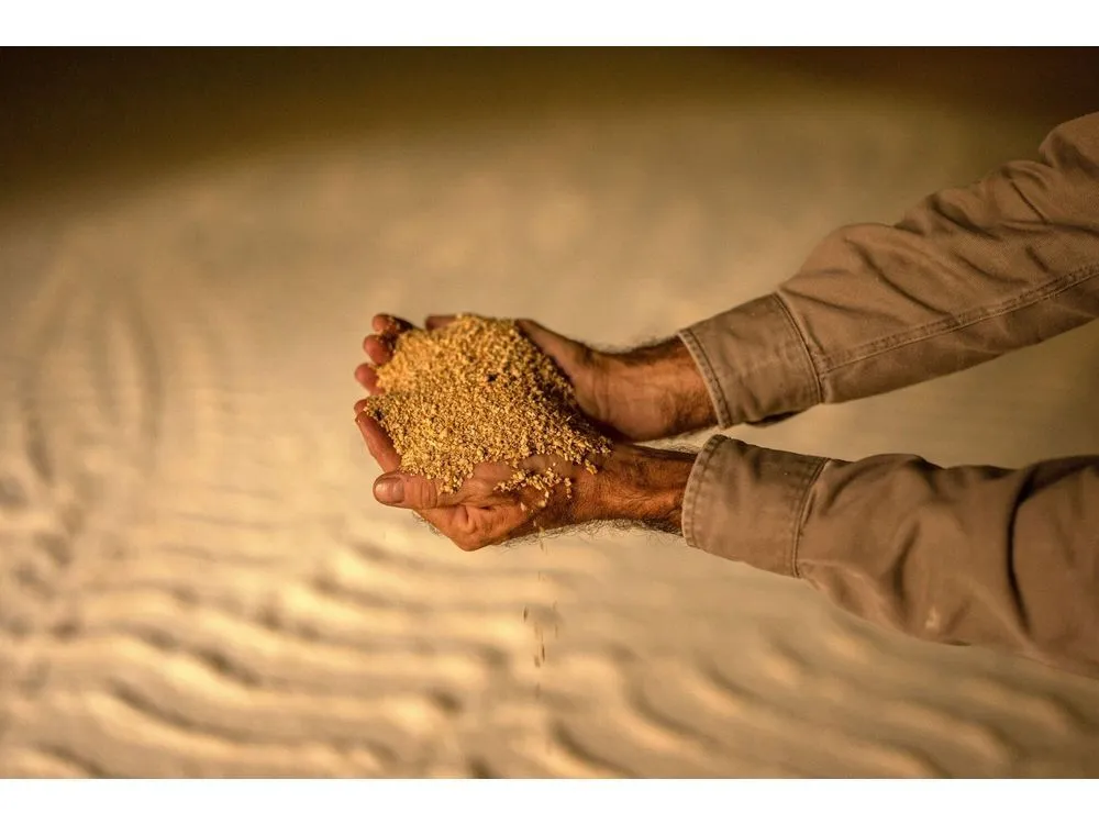 Dollar-Hungry Milei Pauses Crop Tariffs Ahead of Argentine Vote