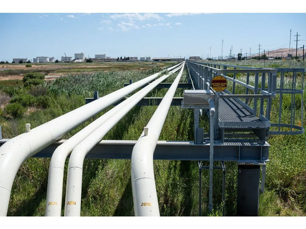 Oil Pares Weekly Gain as Trump Calls for Low Prices to End War