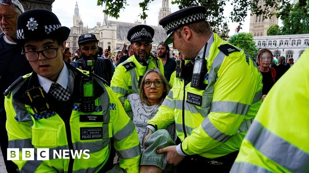 Arrests made at rally against Palestine Action ban in London