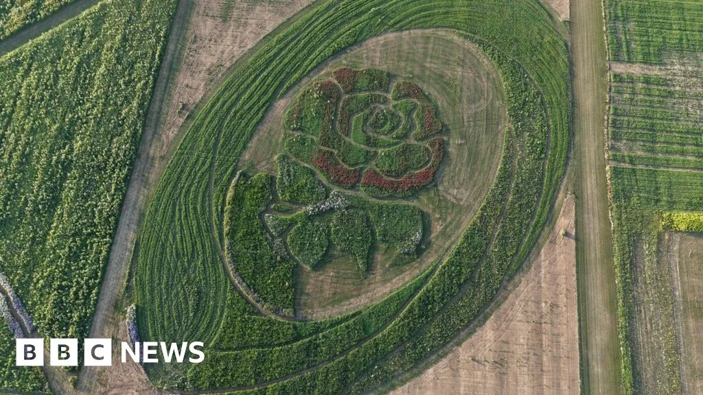 Farm shows support for Red Roses World Cup bid