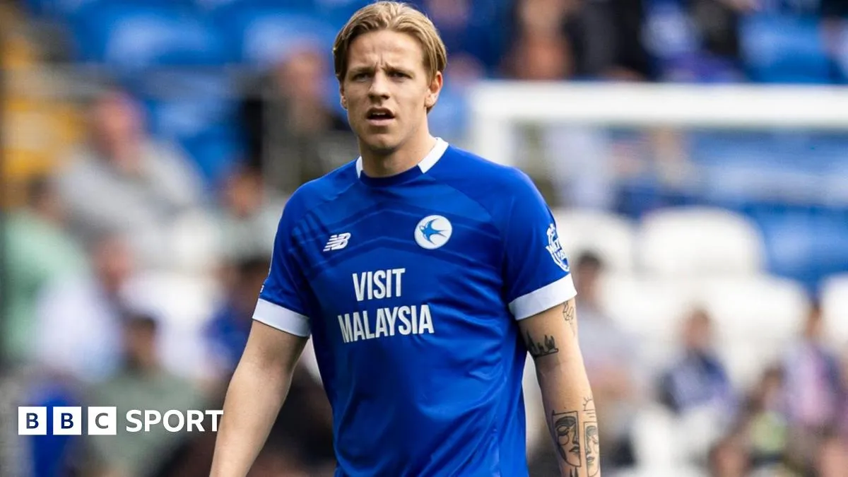 'Impossible to say' if Cardiff are finished in transfer window