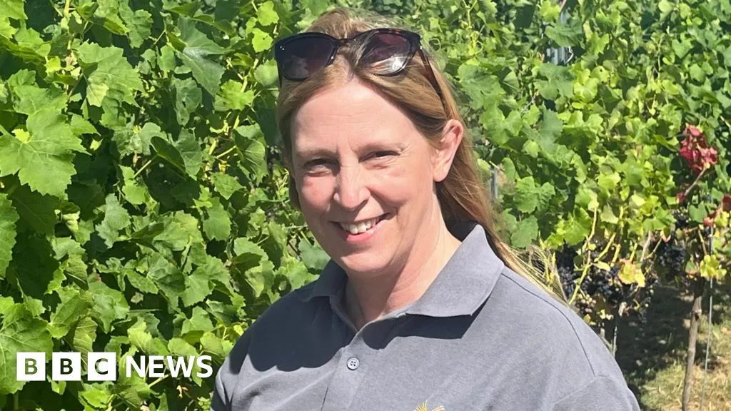 Welsh wine blooms as climate brings 'opportunity and risk'