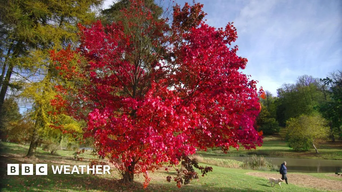 Is a UK heatwave in the weather forecast for September?