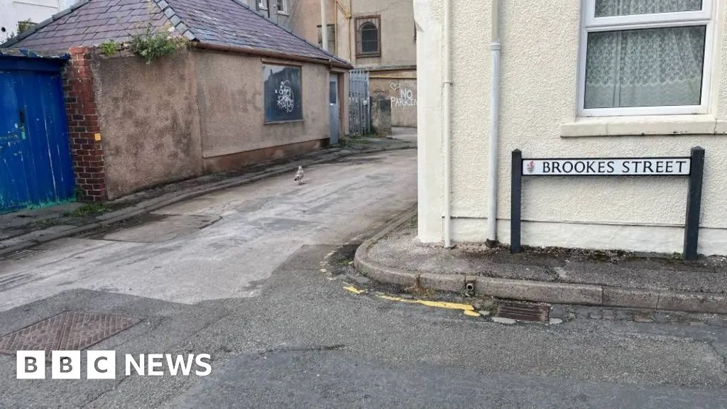 Tribute to woman, 89, hit by recycling lorry