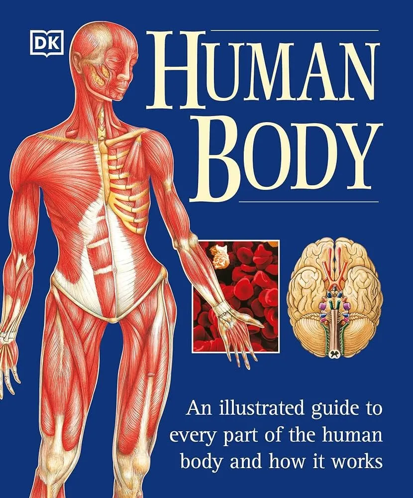 The Human Body Decoded: A Fascinating Exploration of Anatomy and Physiology