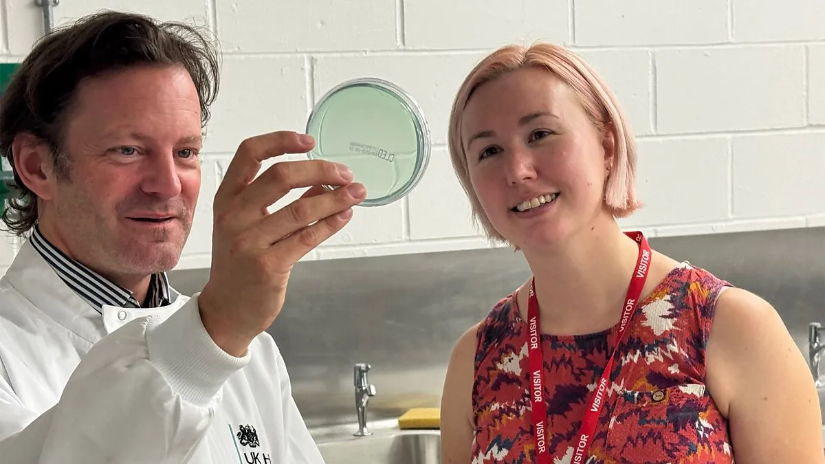 The social lives of bacteria